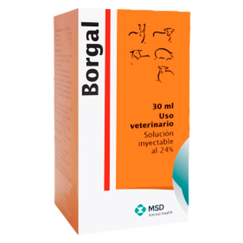  Borgal 100ml Sulfadoxina Trimetoprim Antibiotico Amplio Espectro Sol Inyectable, Intervet 96.610169 Borgal 100ml Sulfadoxina Tr