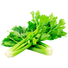  Apio Tall Utah 100gr Semillas Hortalizas Variedad Verde Oscuro, Feltrin 76.271186 Apio Tall Utah 100gr Semillas Hortalizas Vari
