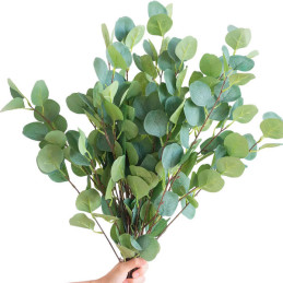  Eucalipto 100 Semillas Eucalyptus cinerea Silver Dollar-Foliage Flor Corte Maceta Jardin 57.627119 Eucalipto 100 Semillas Eucal