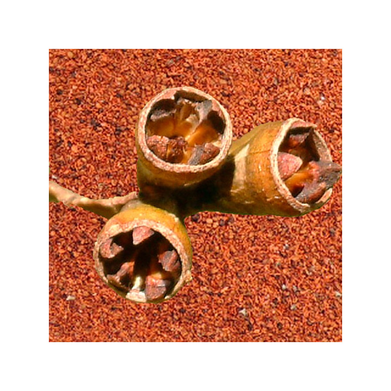  Semillas de Eucalipto 1Kg, Eucalyptus saligna Costa Valles Interandinos Forestar 1016.949153 Semillas de Eucalipto 1Kg, Eucalyp