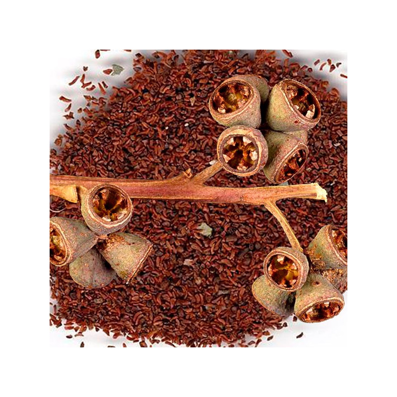 Semillas de Eucalipto 1Kg, Eucalyptus grandis Costa Valles Interandinos Forestar 1016.949153 Semillas de Eucalipto 1Kg, Eucalyp