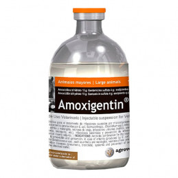 Amoxigentin 100ml, Amoxicilina+Gentamicina, Antibiotico amplio espectro Inyectable, Agrovet