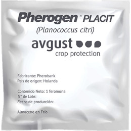 Pherogen Placit 1und, Feromona Planococcus citri Feromona sintetica atrae machos Cochinilla harinosa, Avgust