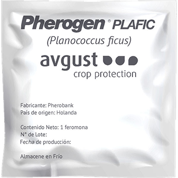 Pherogen Plafic 1und, Feromona Planococcus ficus Feromona sintetica atrae machos Cochinilla harinosa, Avgust