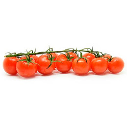 Tomate Zorayda 1000semillas, Semillas de tomate Indeterminado Cherry, Enza Zaden